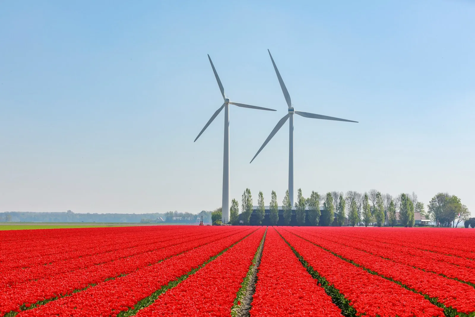 Thuisbatterij storm schade ervaringen: wat eigenaren