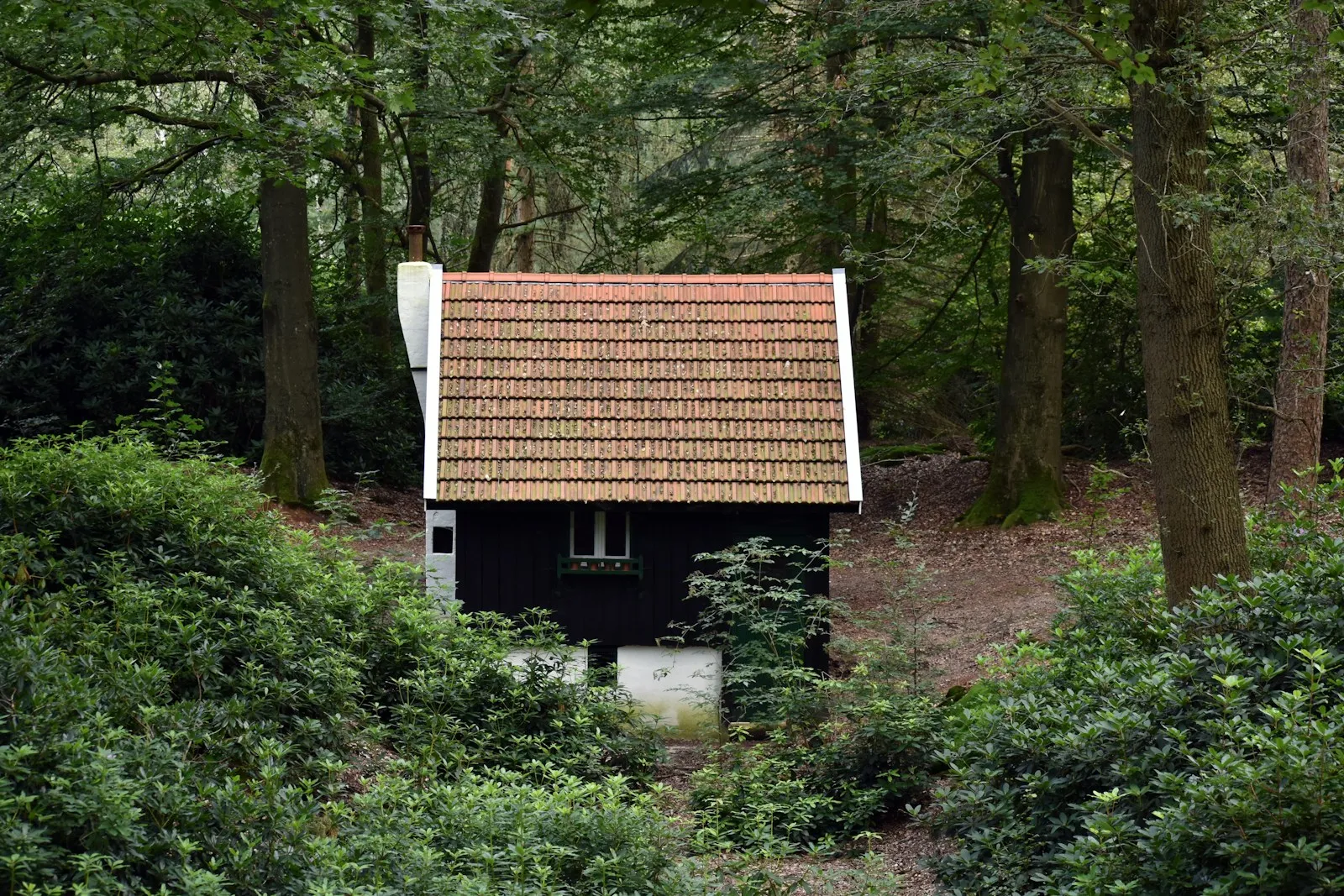 Thuisbatterij twee omvormers ervaringen: wat werkt